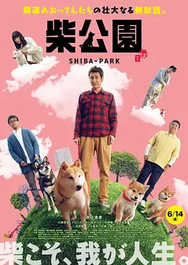 爱丫爱丫樱花免费版电视剧