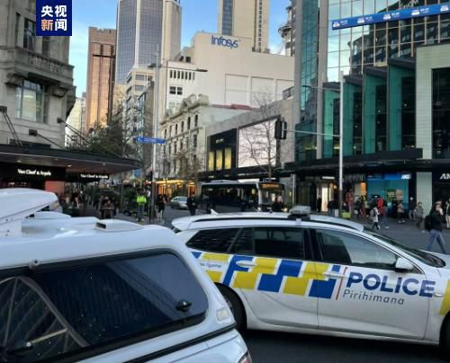 一家乱战全集免费播放