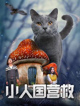 最近中字视频在线观看