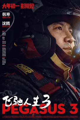 久久国内精品视频