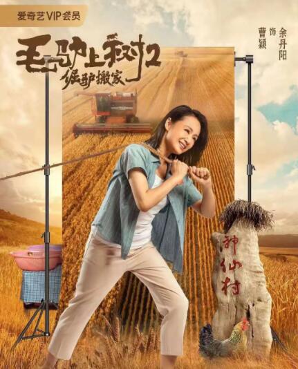 欧美美女一区二区在线观看