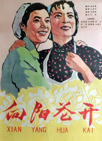99精彩视频在线观看