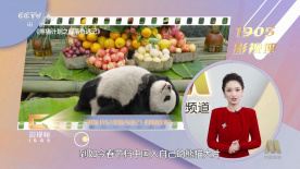 久久综合给合久久狠狠狠色97